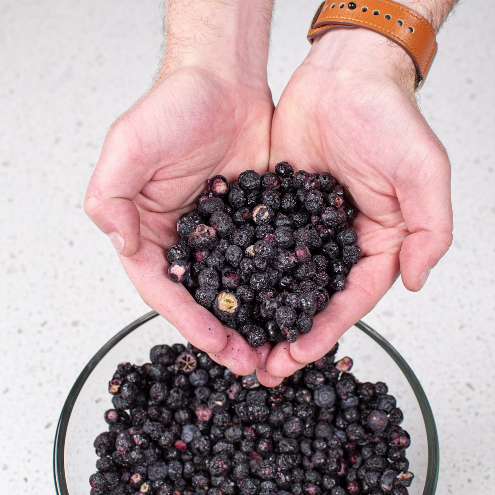 Blueberries Freeze Dried - #10 Can - Fruit