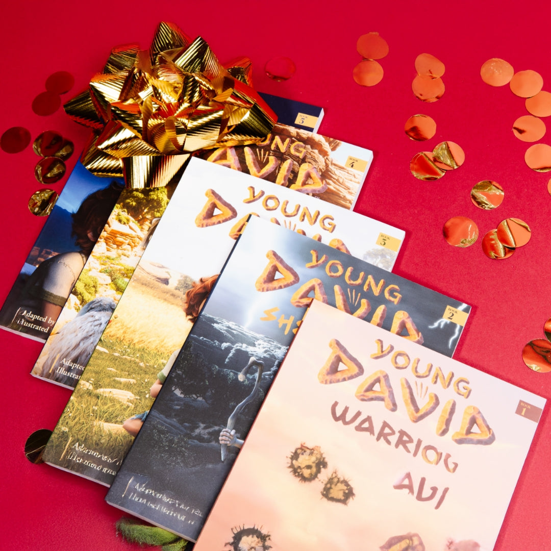 Young David Chapter Book Bundle - Books